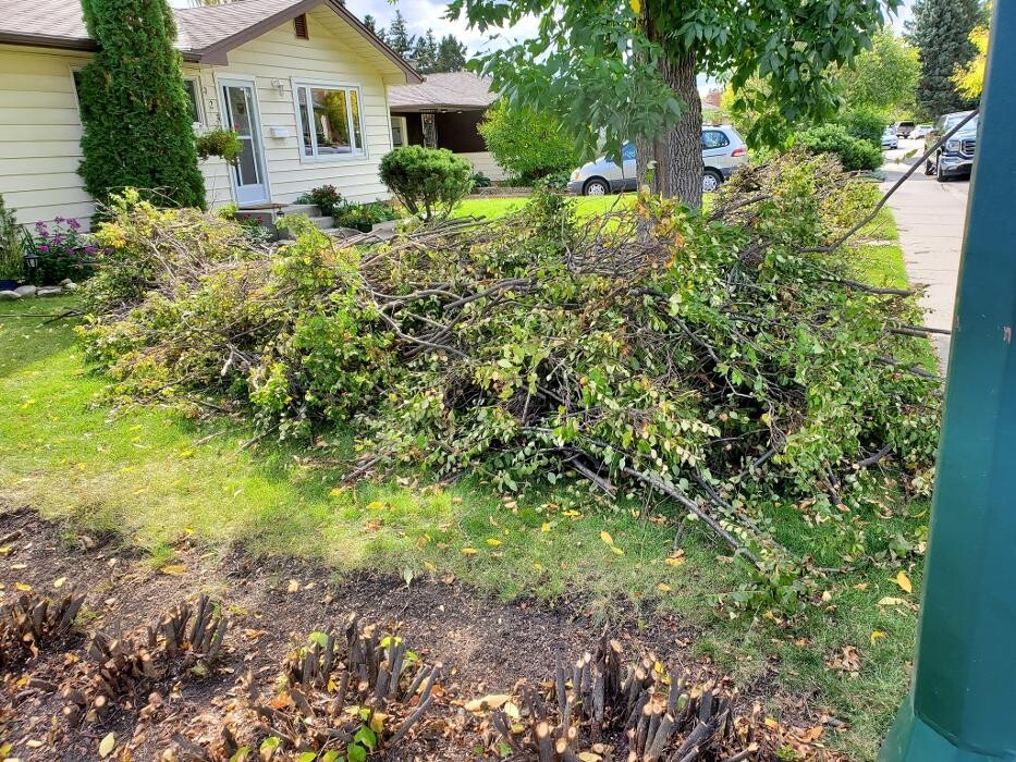Images Outta Site Trash Removal Inc