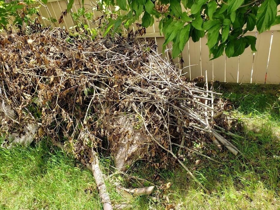 Images Outta Site Trash Removal Inc