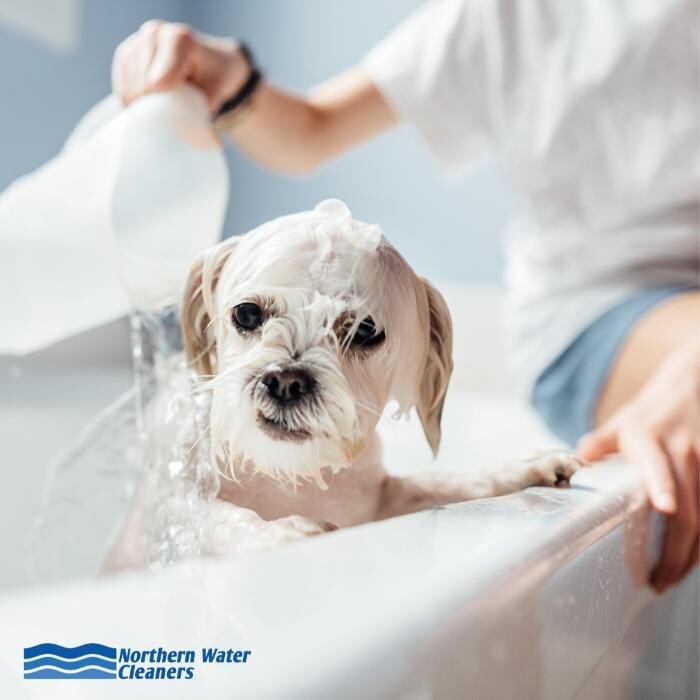 Images Northern Water Cleaners