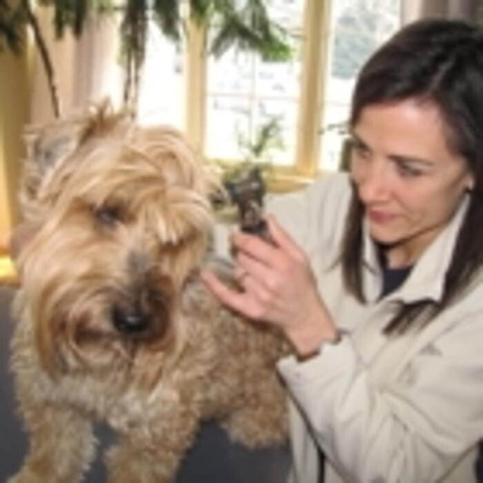 Images Animal Ark Veterinary Svcs