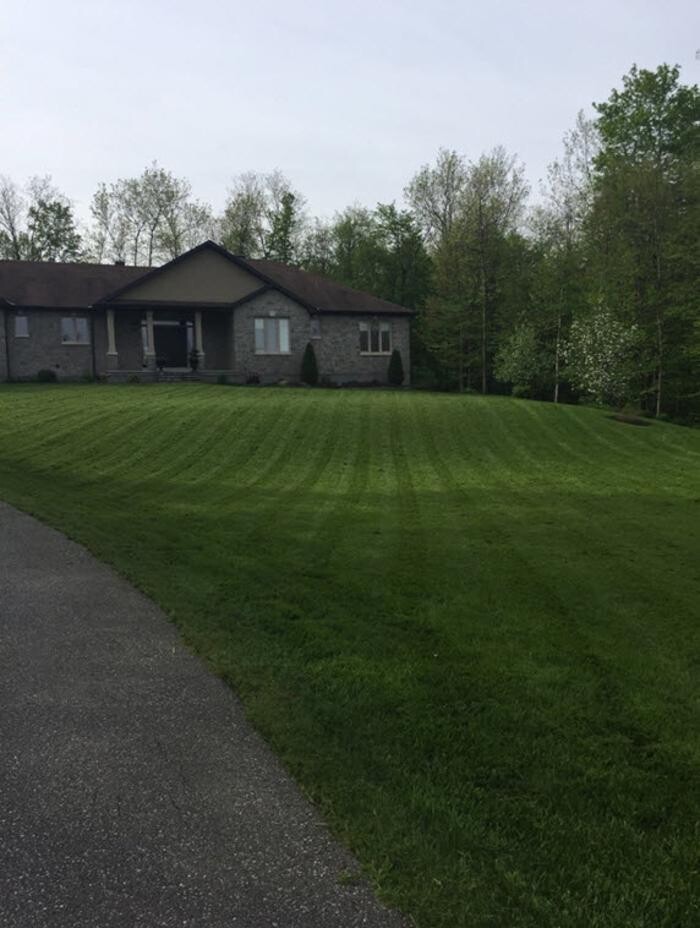 Images Lawn FX