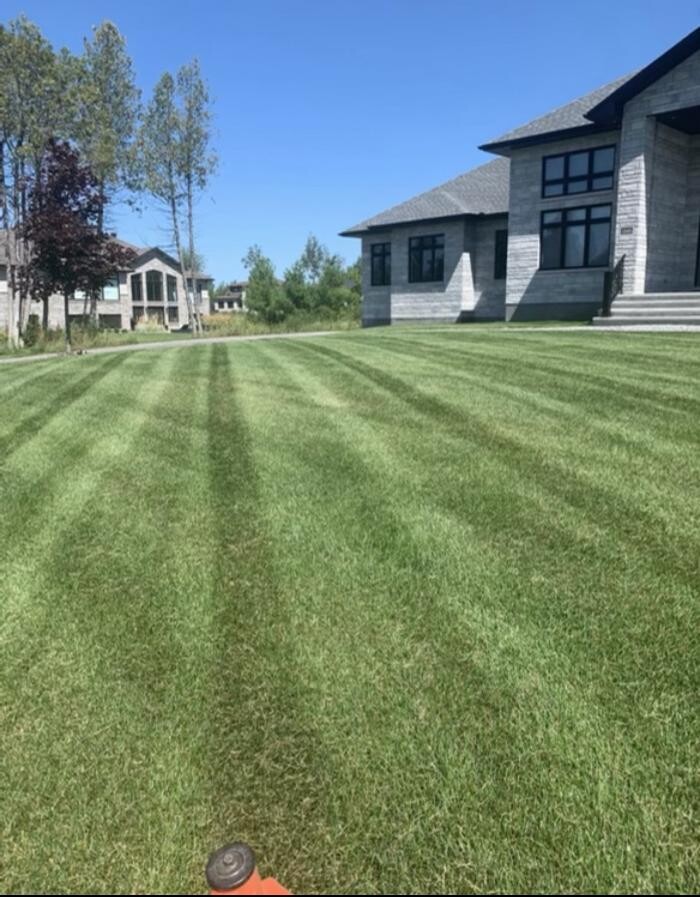 Images Lawn FX