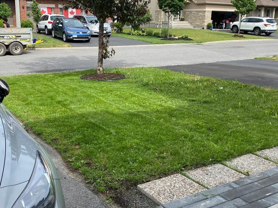 Images Lawn FX