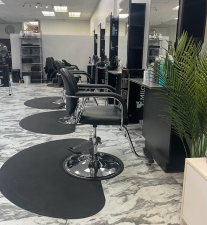 Images Coiffure Moda Elysa
