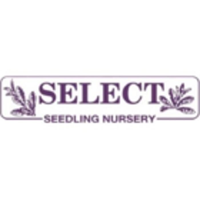 Select Seedling Nursery Ltd Logo