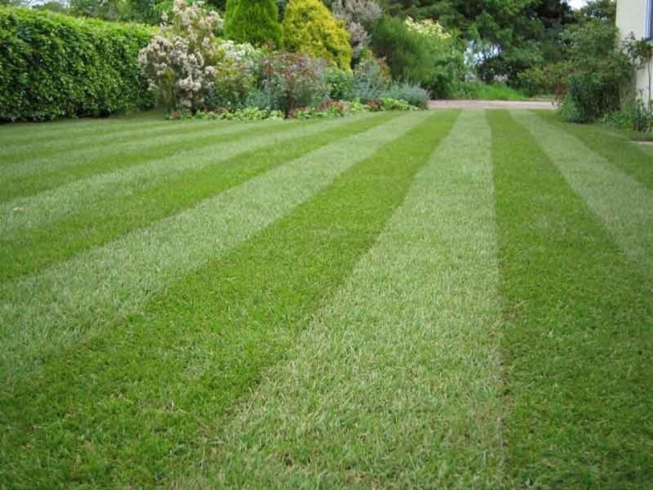Images Regal Landscaping Limited