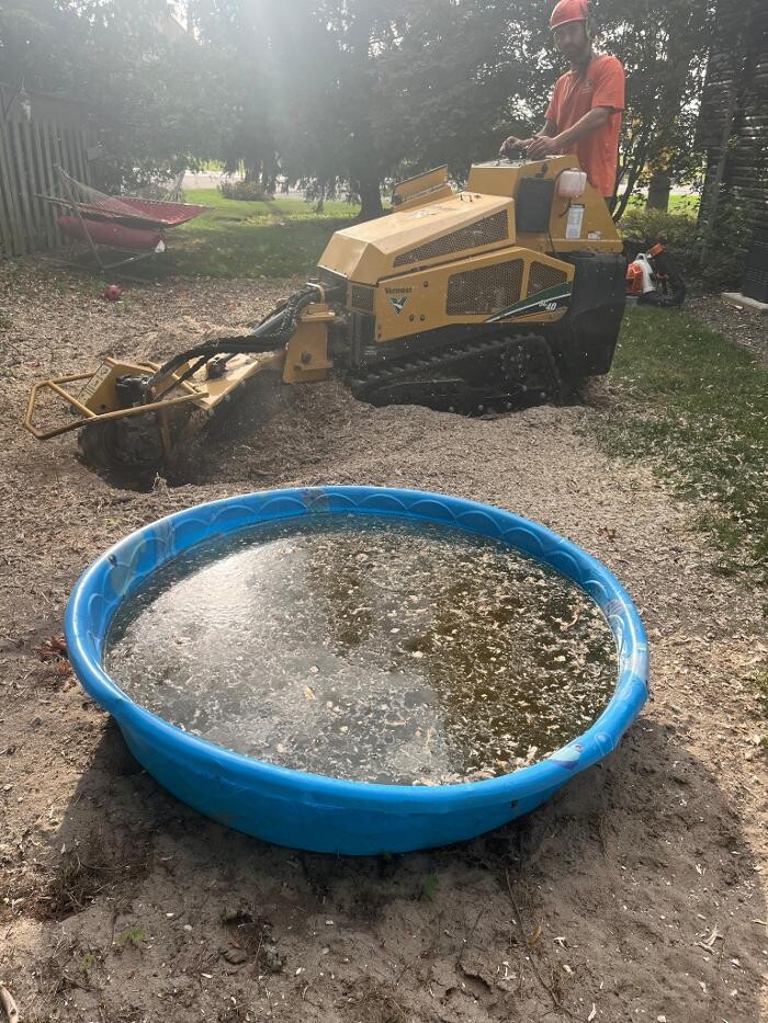 Images Defender Tree Service Ltd