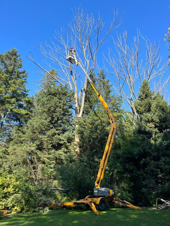 Images Defender Tree Service Ltd