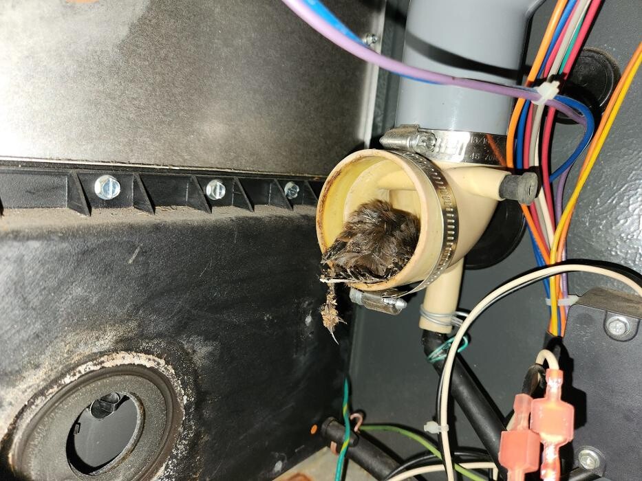 Images Buffalo Plumbing & Heating