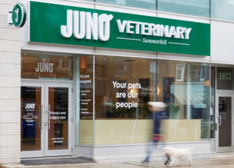 Images Juno Veterinary Summerhill