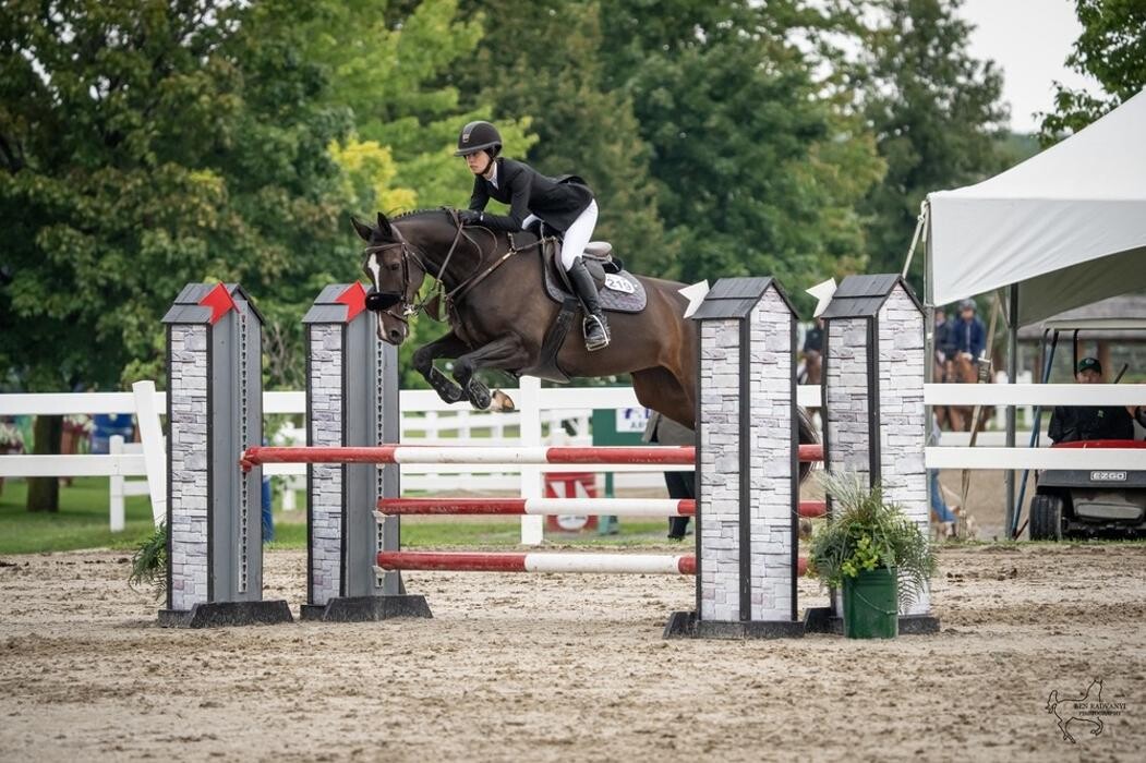 Images Wynbrook Equestrian Centre