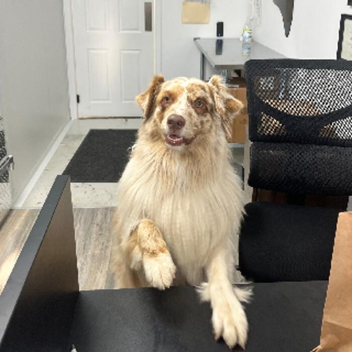 Images ADR Pet Stores - Whitby