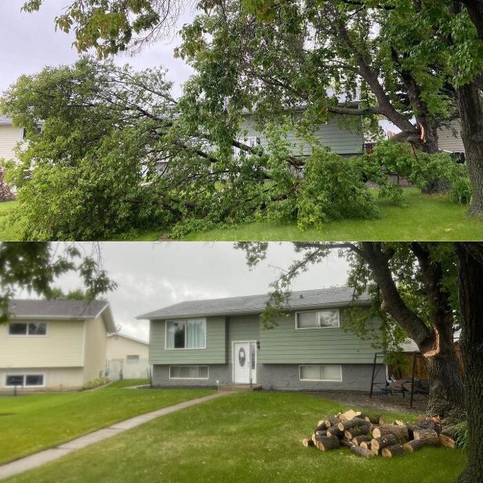 Images Mayday Tree Services