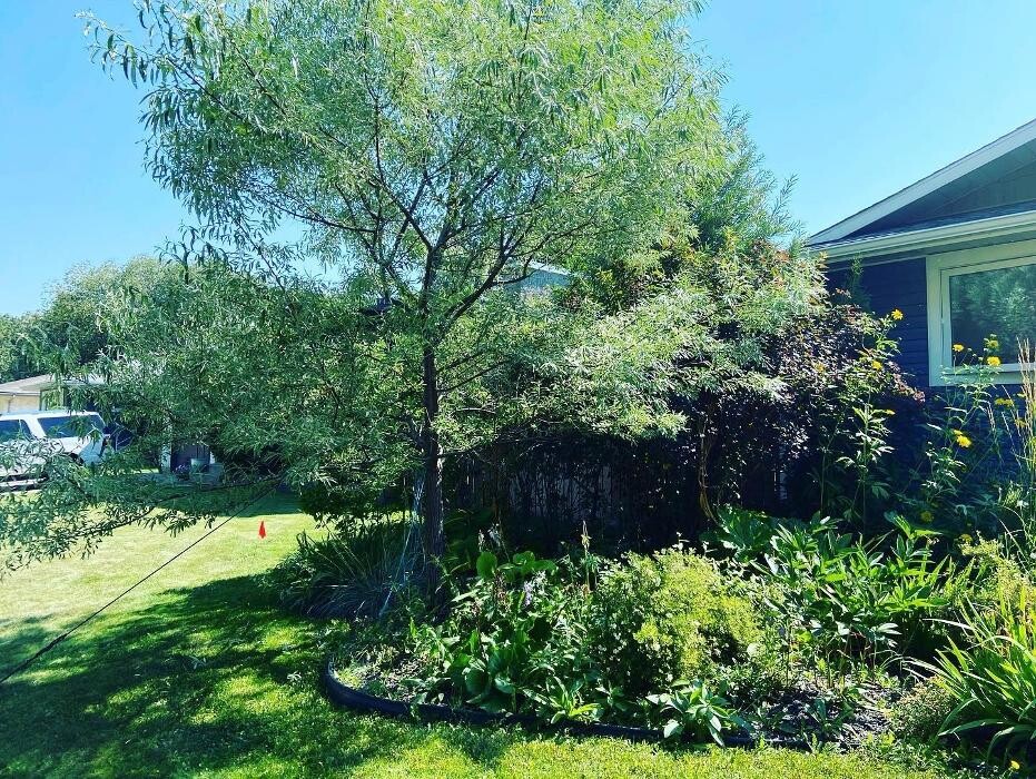 Images Mayday Tree Services