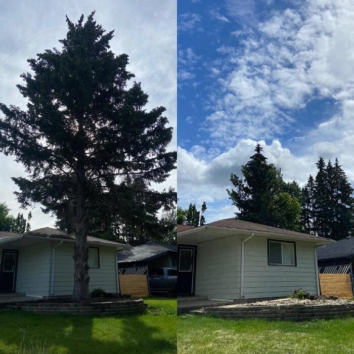 Images Mayday Tree Services