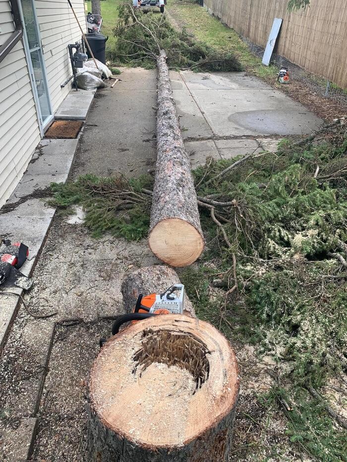 Images Mayday Tree Services
