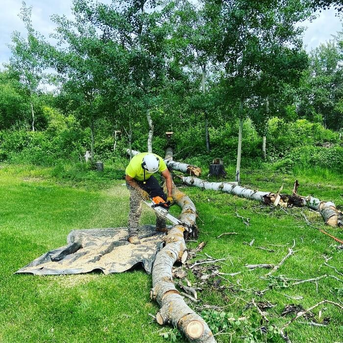 Images Mayday Tree Services