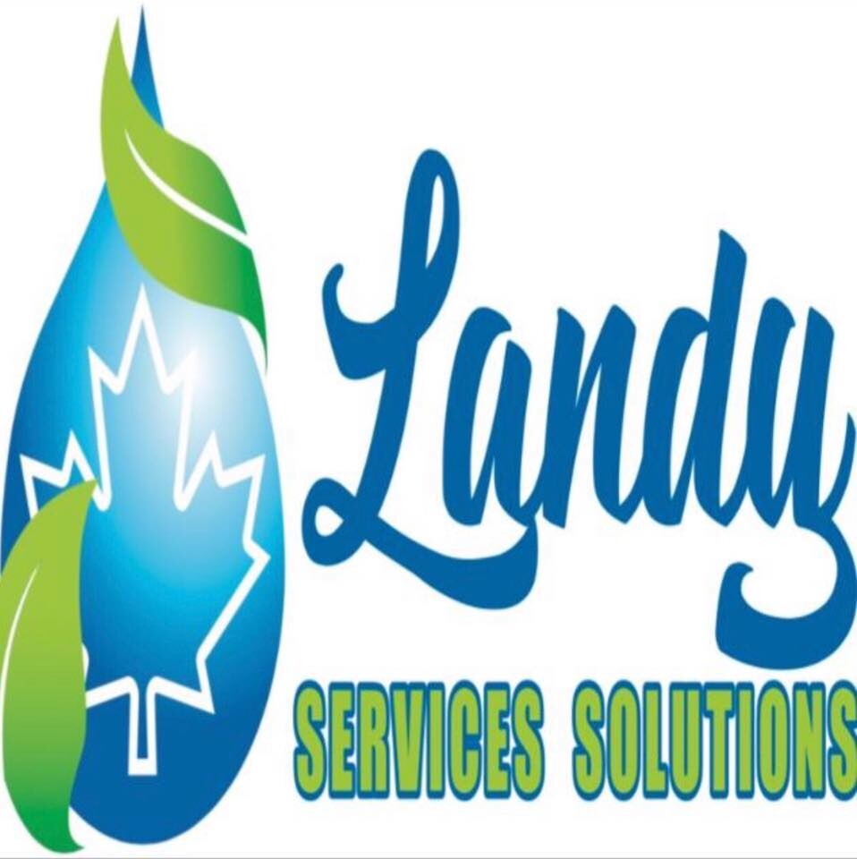Landy Services Solutions Logo