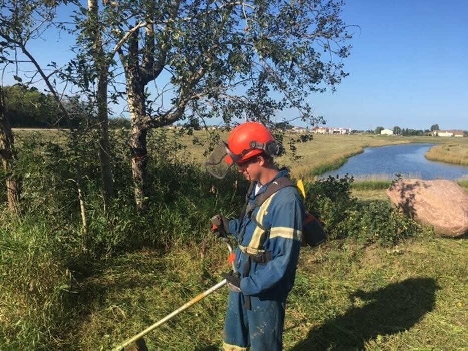 Images Timberwolf Environmental Services Ltd