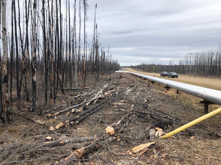 Images Timberwolf Environmental Services Ltd