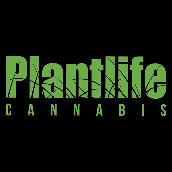 Images Plantlife Cannabis Spruce Grove