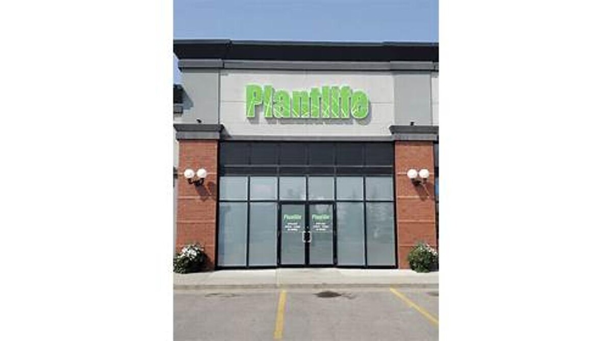 Images Plantlife Cannabis Olds