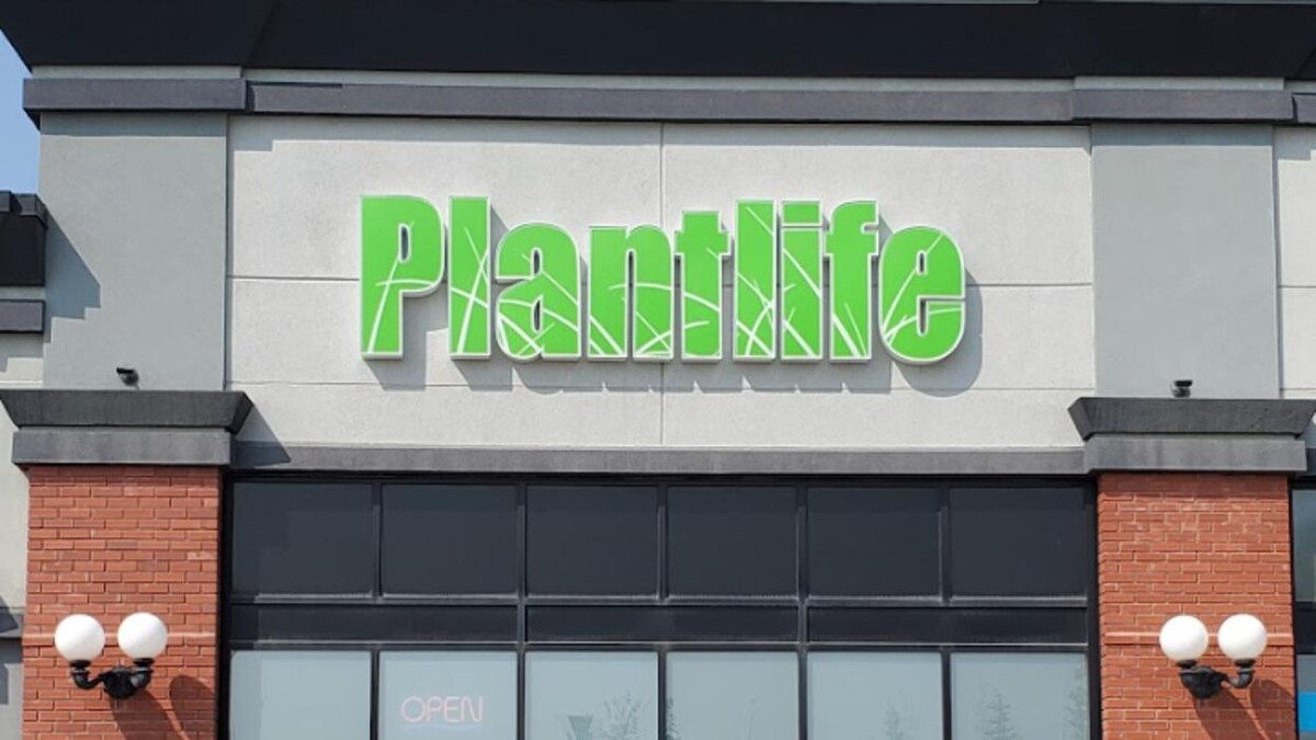 Images Plantlife Cannabis Olds