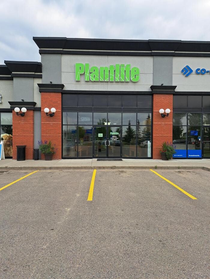 Images Plantlife Cannabis Olds