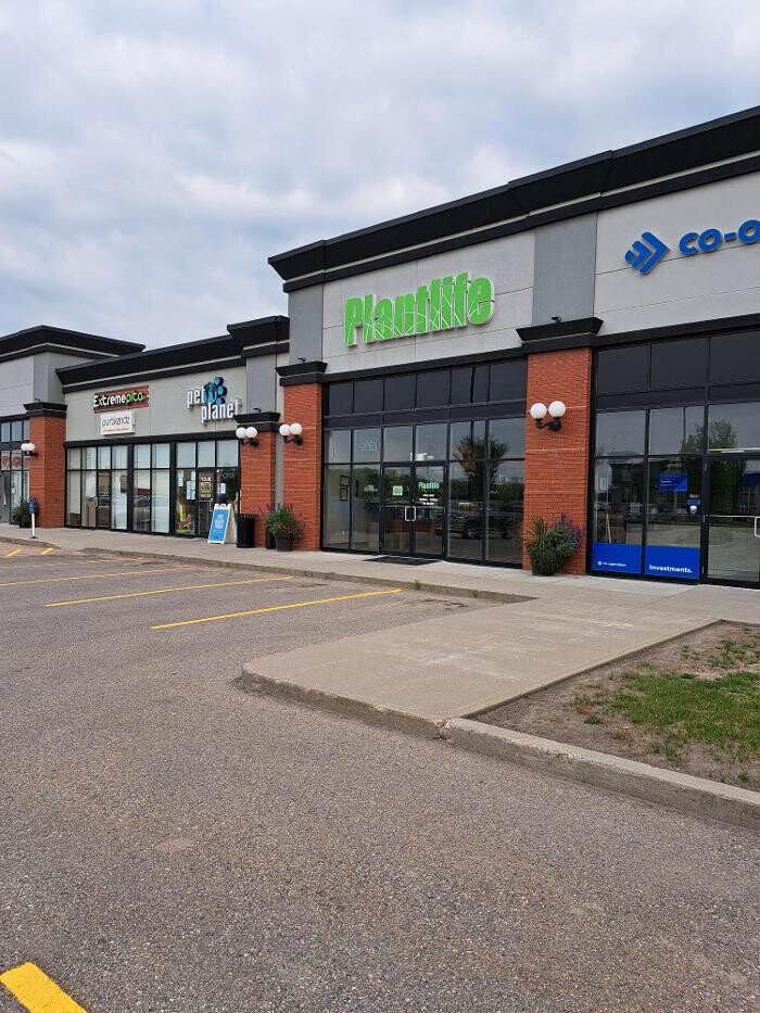 Images Plantlife Cannabis Olds