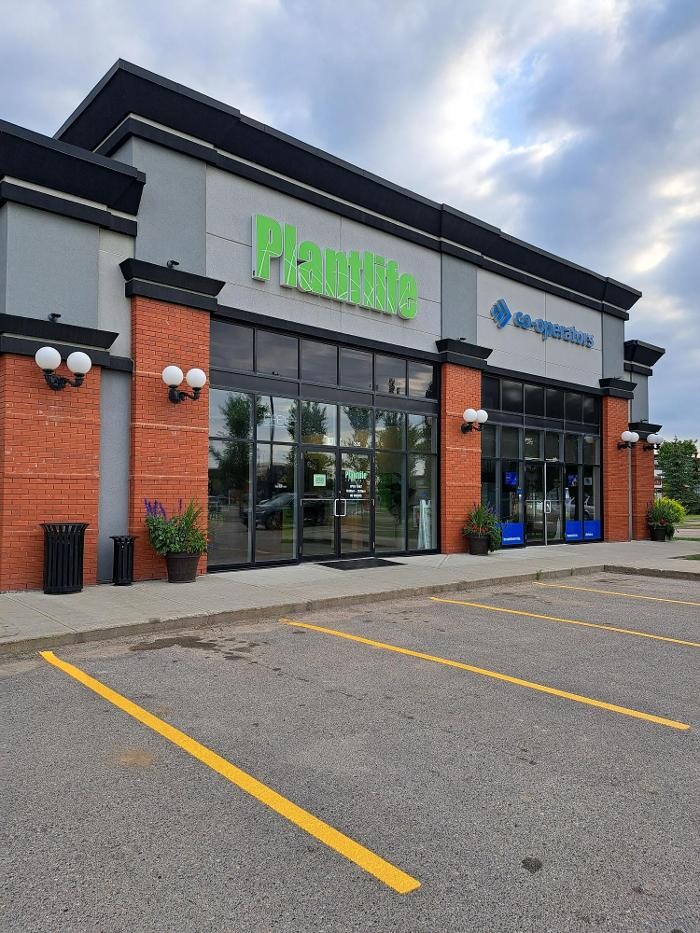 Images Plantlife Cannabis Olds