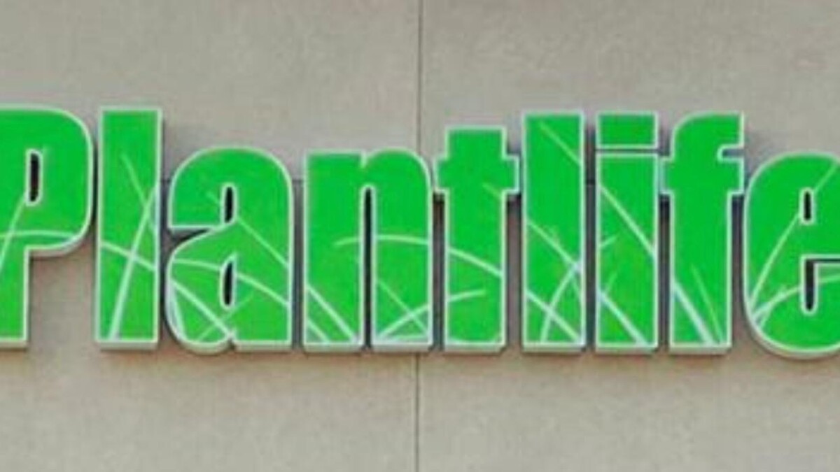 Images Plantlife Cannabis Sunwapta Edmonton