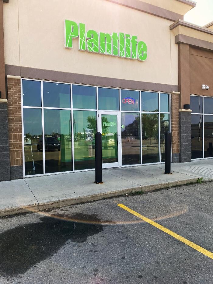 Images Plantlife Cannabis Wainwright