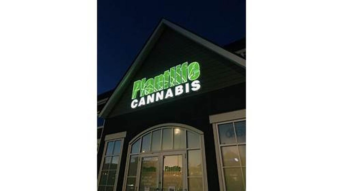 Images Plantlife Cannabis Mahogany Calgary