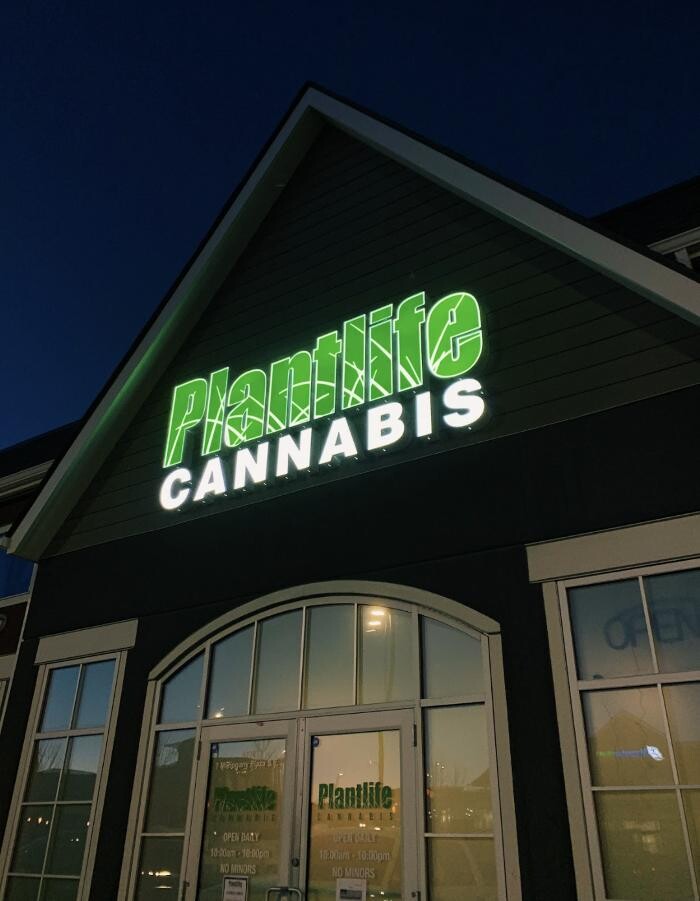 Images Plantlife Cannabis Mahogany Calgary