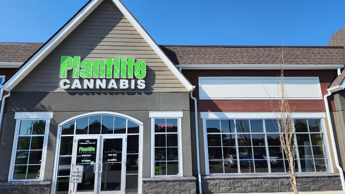Images Plantlife Cannabis Mahogany Calgary
