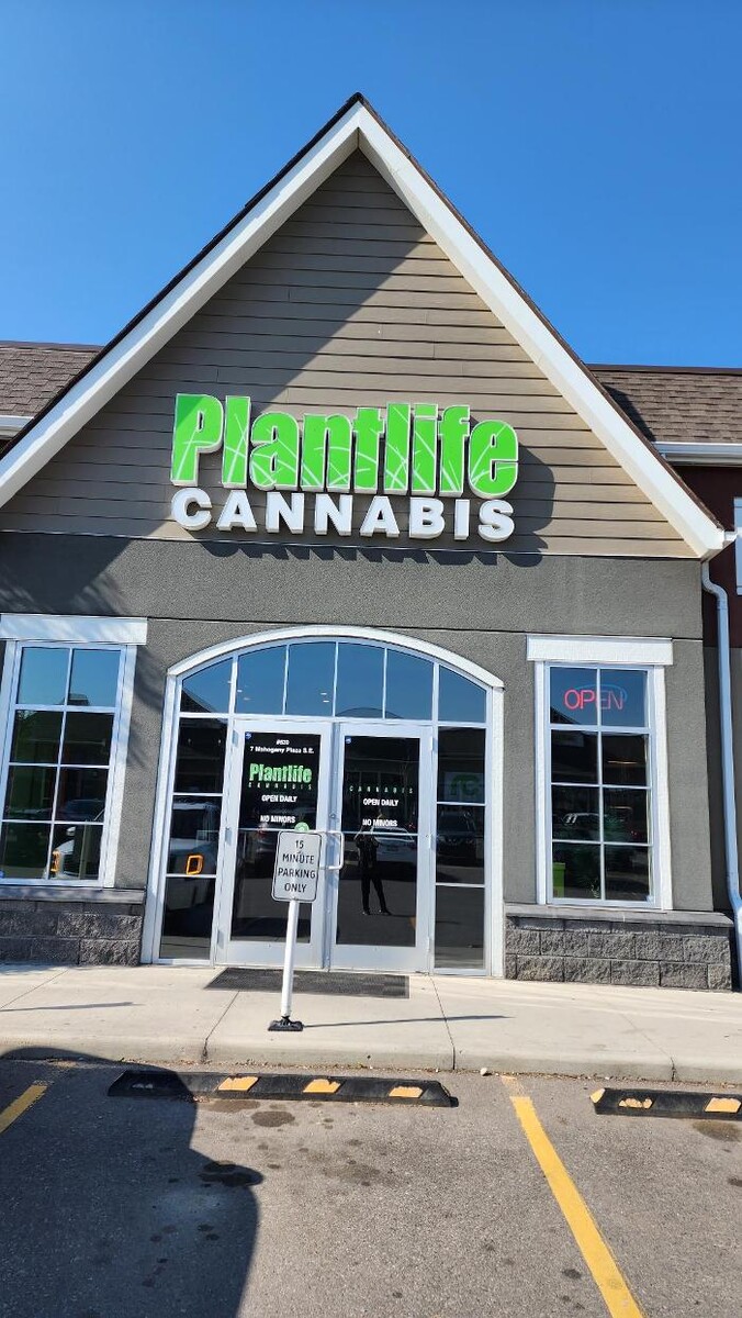 Images Plantlife Cannabis Mahogany Calgary