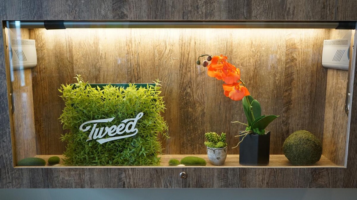 Images Plantlife Cannabis Leduc