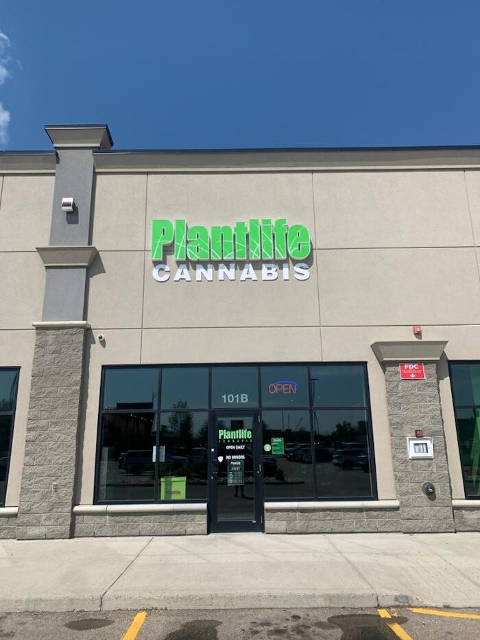 Images Plantlife Cannabis Leduc