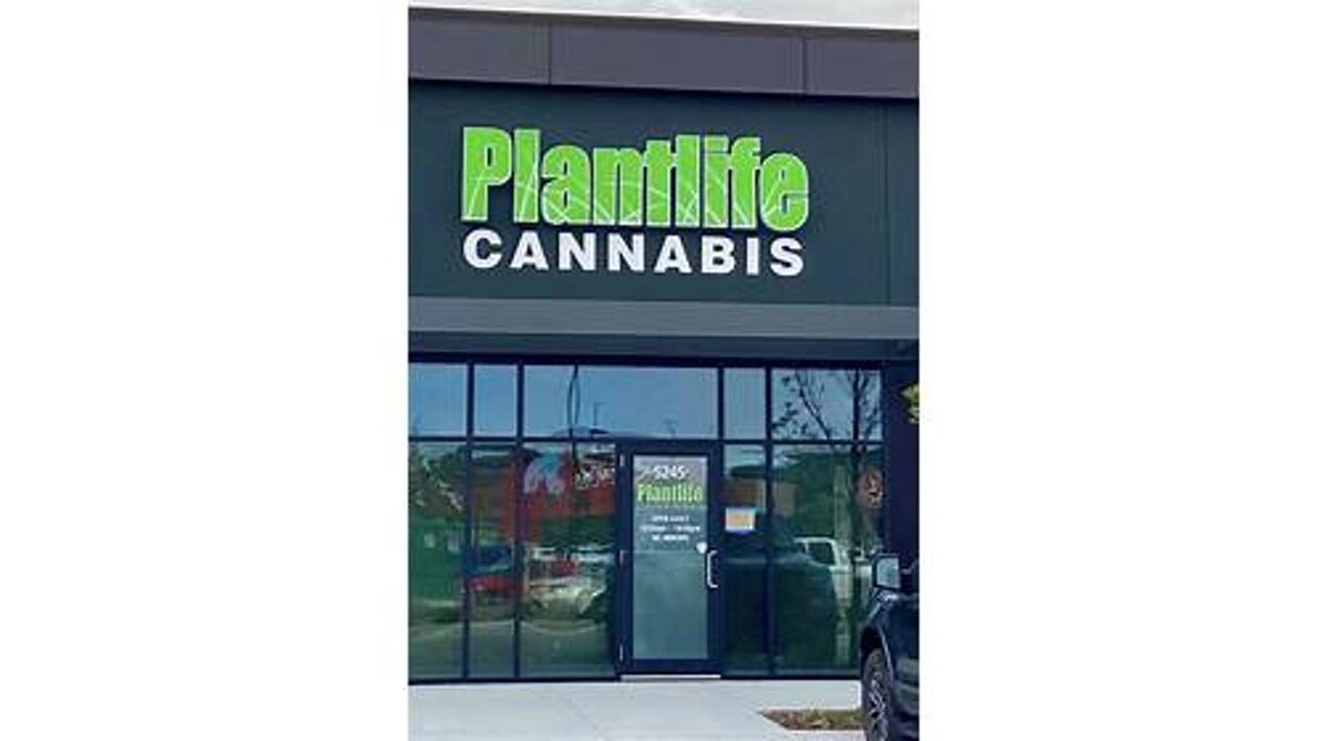 Images Plantlife Cannabis Harvest Pointe Edmonton