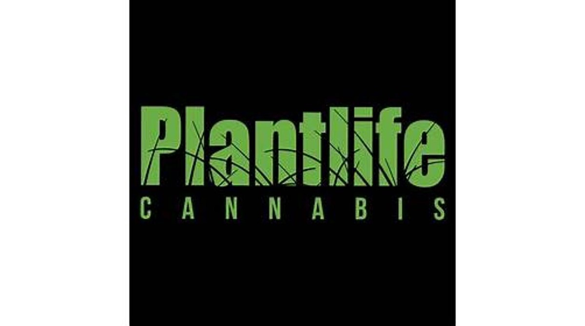 Images Plantlife Cannabis Hollick Kenyon Edmonton