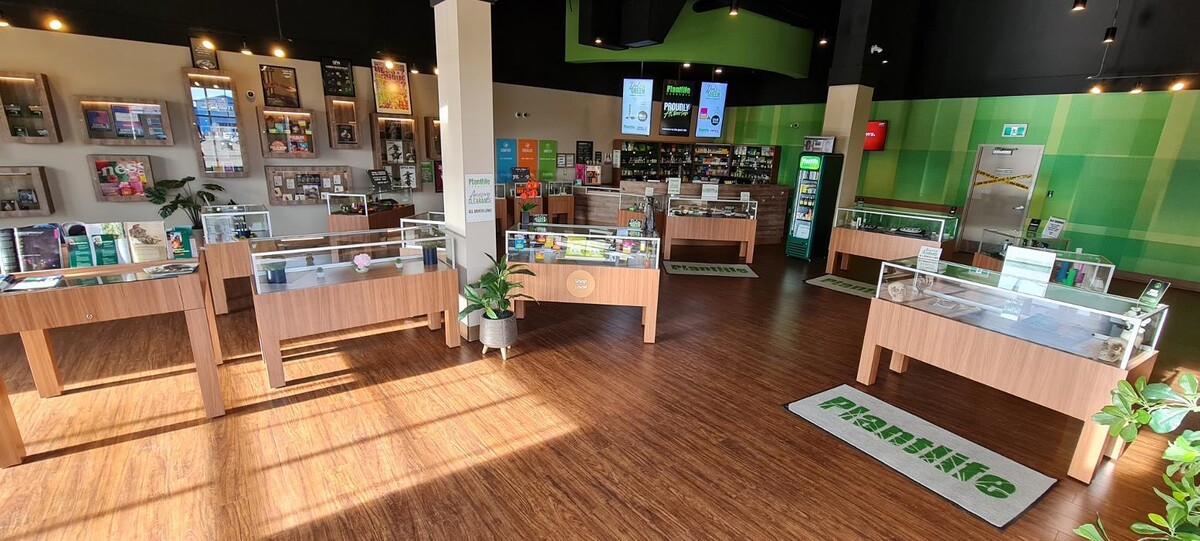 Images Plantlife Cannabis Fort Saskatchewan