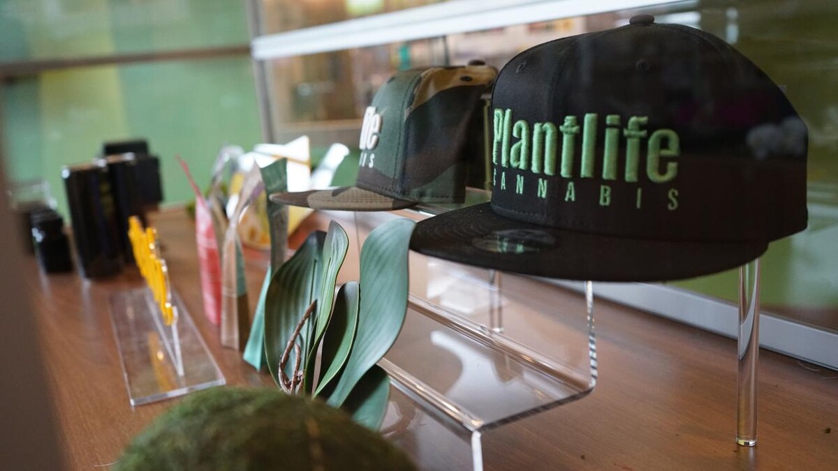 Images Plantlife Cannabis Mahogany Market Calgary