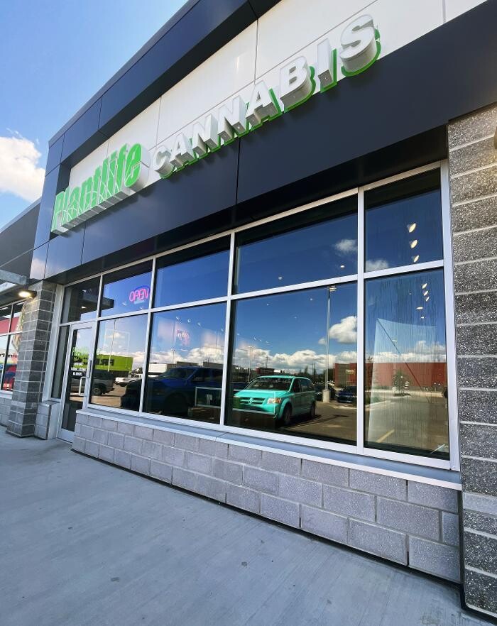 Images Plantlife Cannabis Grande Prairie Cobblestone