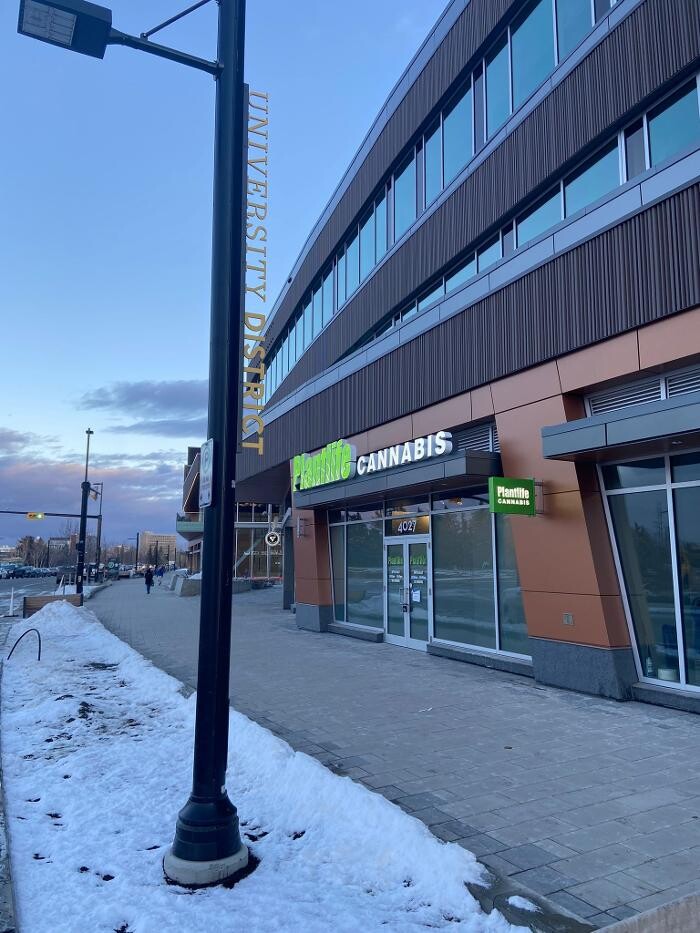 Images Plantlife Cannabis University District Calgary