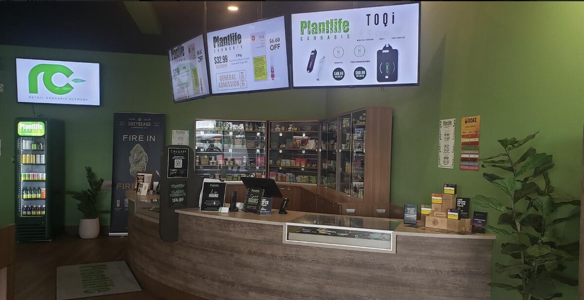 Images Plantlife Cannabis University District Calgary