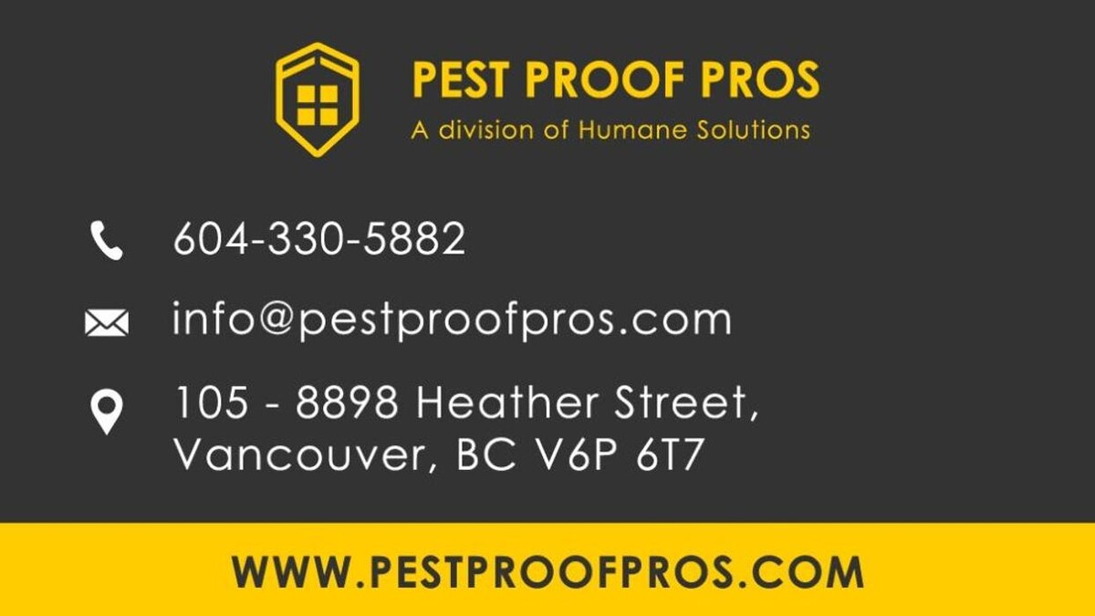 Images Pest Proof Pros