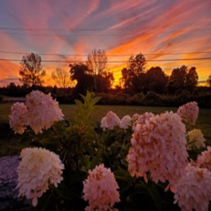 Images A 2 Z Home Maintaining