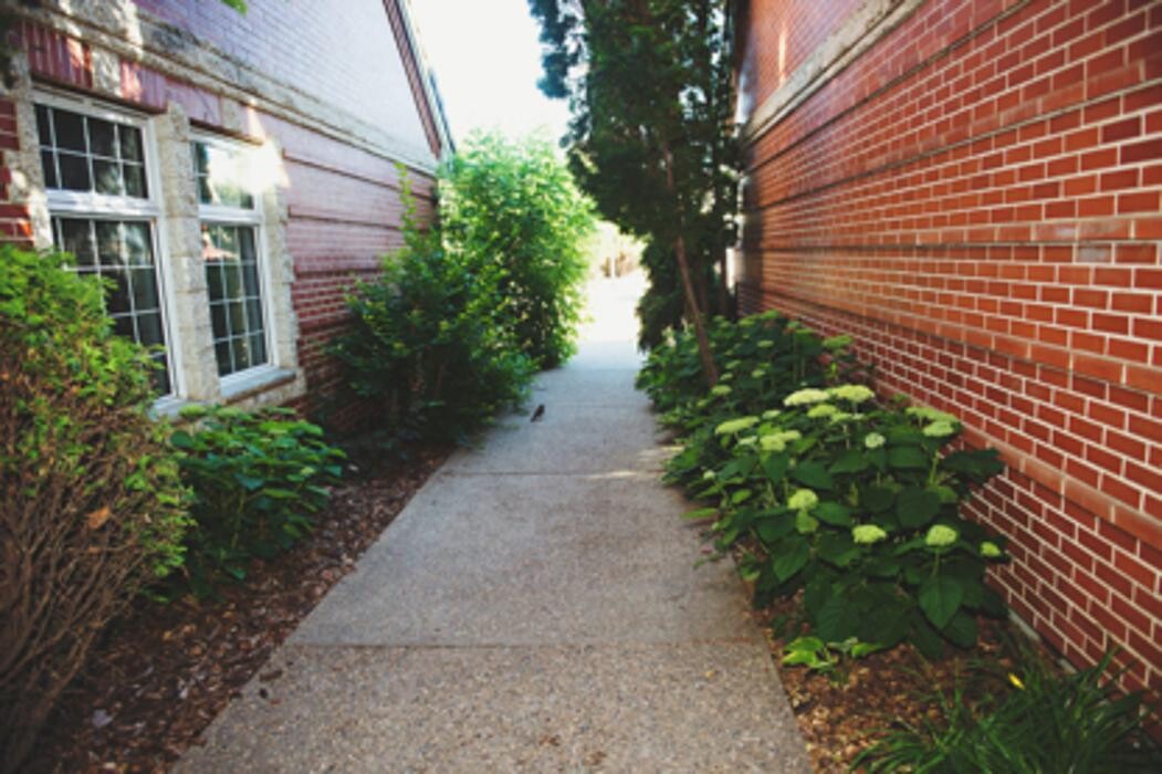 Images Courtyard Dental Centre