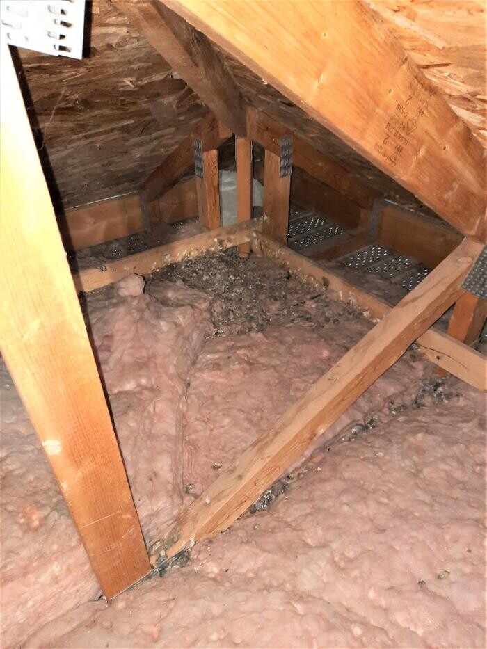 Images Les Inspections ORION Inc. - Inspecteur en Bâtiment Rosemont