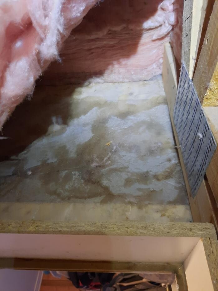Images Les Inspections ORION Inc. - Inspecteur en Bâtiment Rosemont